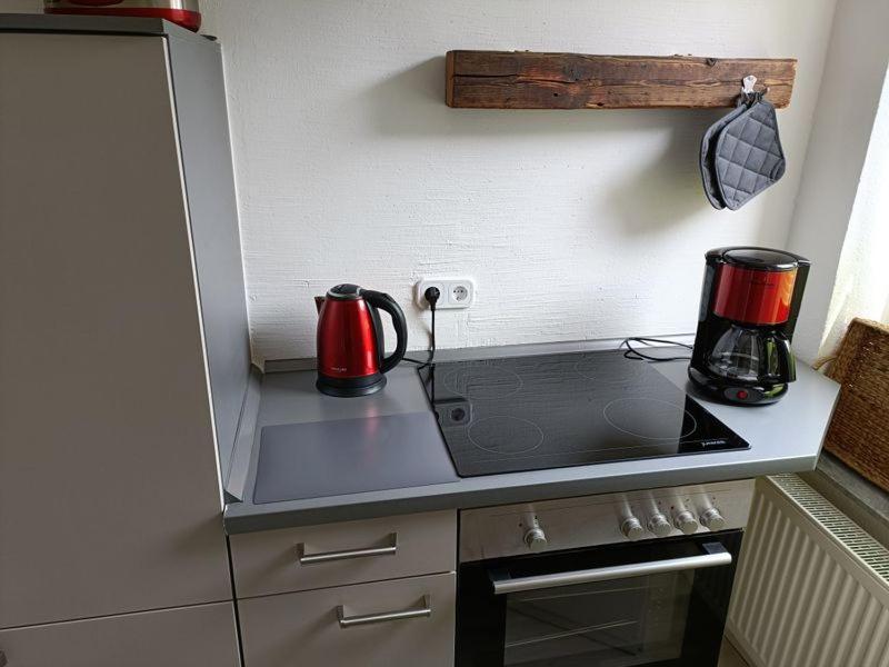 Apartment Luisa エアフルト エクステリア 写真